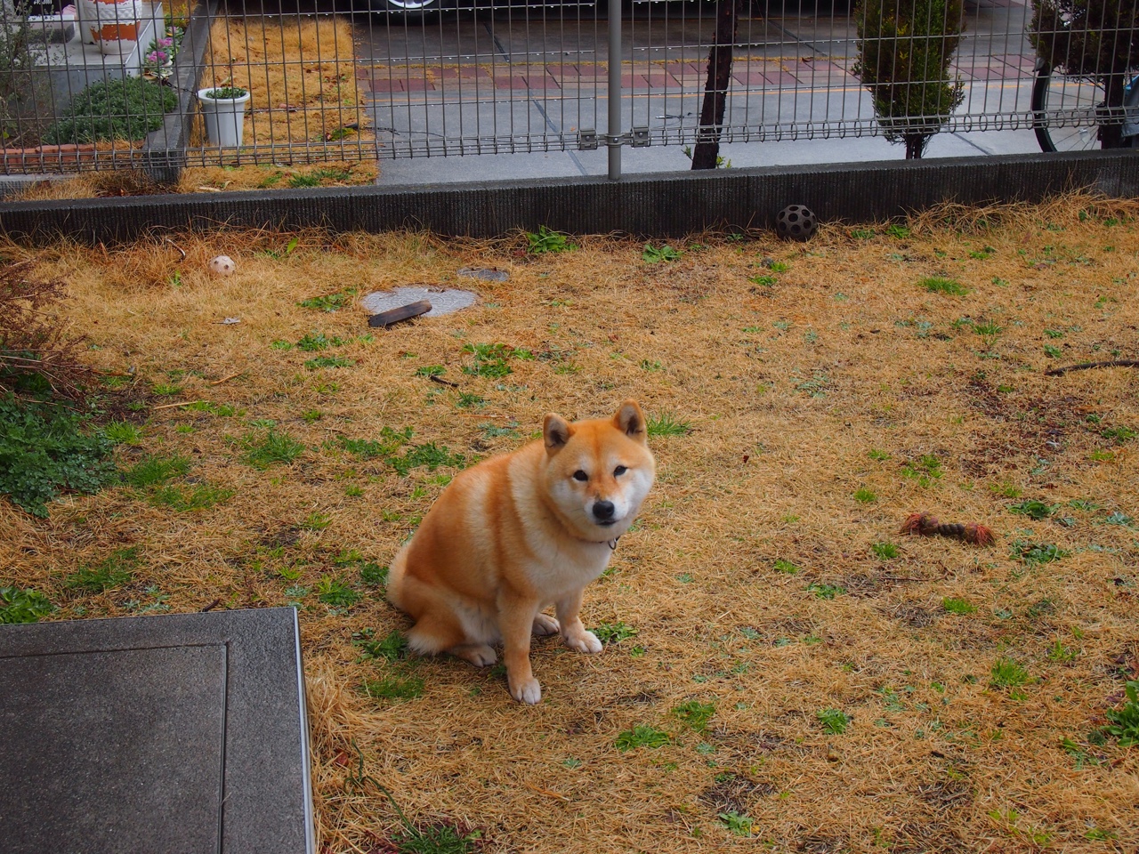 高原马拉松吸引国内外专业选手参赛，马拉松高原训练的利与弊和原则