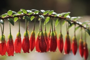 开云体育官网登入-五大联赛大比分逆转案例战术特征总结，五大联赛分析大师