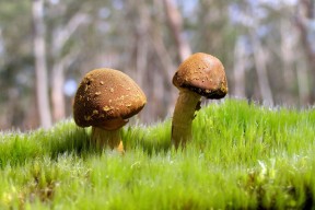 开云体育官方网站登陆-中国女篮比赛中多点开花 进攻火力十足，中国女篮打球