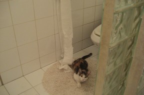 开云体育官方下载-乌干达男篮在非洲预赛中奋勇前行，迈出新里程碑，乌干达nba