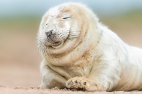 开云-世界杯中国女足迎战 战术部署展现变化，中国女足世界杯亚军视频