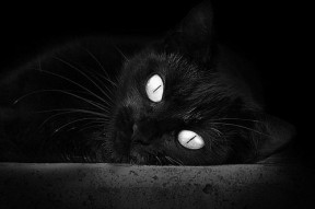 开云竞猜官网-奥运场馆绿色改造升级推进可持续发展，奥运村绿色建筑