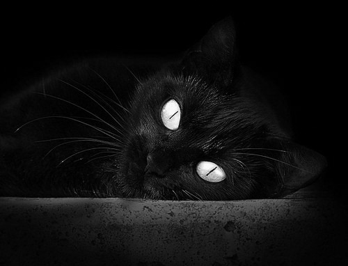 奥运场馆绿色改造升级推进可持续发展,奥运村绿色建筑